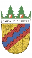 Новогодняя тренировка Новогодняя тренировка